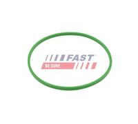 Junta Depósito De Combustible Fast FT48503 para Citroën Fiat Ford