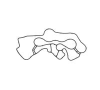 ELRING 794.600 Junta, radiador de aceite