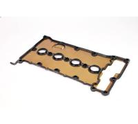 Junta, tapa de culata de cilindro REINZ 71-35567-00 para A4 B6 (8E2) 2 2002-2004