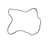 Junta, tapa de culata de cilindro REINZ 71-37703-00