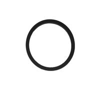 Junta tórica de goma LEMA LE24789.00