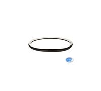 Junta Trasero Fieltro Secador Candy Original 40011933