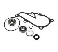 Juntas de motor para moto Compatible con Raptor 700 2006-2023 Compatible con Raptor 700R 2009-23 Kit de junta de sello mecánico de bomba de agua ATV Juego completo de juntas motor