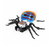 JunZheHub Figura Modelo Realista Figura Educativa Juguete Manual Decoración Natural Detalle Adecuado para Aprendizaje Entomología Exhibición en, Araña Pavo Real Azul