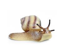 JunZheHub Figura Modelo Realista Figura Educativa Juguete Manual Decoración Natural Detalle Adecuado para Aprendizaje Entomología Exhibición en, Caracol 1667