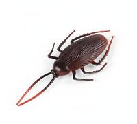 JunZheHub Figura Modelo Realista Figura Educativa Juguete Manual Decoración Natural Detalle Adecuado para Aprendizaje Entomología Exhibición en, Cucaracha Hembra