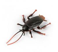 JunZheHub Figura Modelo Realista Figura Educativa Juguete Manual Decoración Natural Detalle Adecuado para Aprendizaje Entomología Exhibición en, Cucaracha Macho