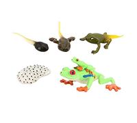 JunZheHub Figuritas Animal Juguetes Cognitivos Modelos Aprendizaje Crecimiento Simulación Indicados para Estudios Científicos Regalo