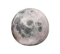 JunZheHub Juguete de Peluche de, Decoración de Juguete de Peluche de, Almohada de Muñeca Suave Creativa Realista para, Regalo de, Luna 17cm