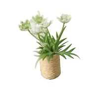 JunZheHub Maceta Miniatura Artificial para Plantas, Bonsái en Miniatura, Accesorio Decorativo Creativo, Adecuado para Casas de Muñecas, Dormitorios, Salas de Es, Blanco