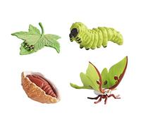 JunZheHub Modelo Del Animal, Juguete para El Desarrollo Temprano, Figura Del Ciclo de Crecimiento para Niños.