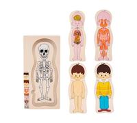 JunZheHub Rompecabezas del Cuerpo Humano Partes del Cuerpo Humano Rompecabezas para Niñas Niños Regalos de Cumpleaños Niño, Chico