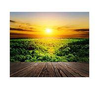 JunZheHub Tapiz de Pared 3D Tapiz Impermeable Manta Mural Decorativa con Textura Suave Y Resistente Adecuado para Dormitorio Exterior Club Viaje, C, Individual