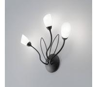 Jupiter Aplique de pared Gloriosa, negro, cristal, 3 luces