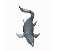 Jurassic Mosasaurus Toy Dinosaurio realista Modelo Mosasaurus con articulaciones móviles Figura de Acción | Colección de personajes dinosaurios animales marinos para la decoración de la de