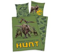 Jurassic Mundo T-Rex Dinosaurio Ropa de Cama Reversible, 80 X 80CM + 135 X 200CM