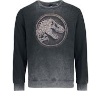 Jurassic Park Cracked Earth Hombre Sudadera Gris S 100% algodón Rippbündchen, Vorne Bedruckt Regular