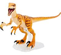 Jurassic World Amber Collection Tiger Velociraptor - Figura de acción de dinosaurio de 15,24 cm, detalles auténticos de la película, articulaciones móviles y expositor de figuras, regalo coleccionable