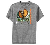 Jurassic World Boys' Dilophosaurus Hero T-Shirt, Charcoal Heather, Small