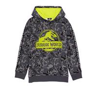 Jurassic World Hoodie Kids Boys Camp Cretáceo T Rex Suéter Gris 5-6 años
