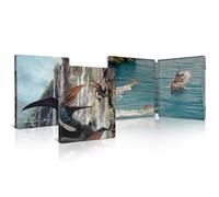 Jurassic World: Rebirth Limited Edition 4K UHD Steelbook (4K UHD Blu-ray)