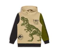 Jurassic World Sudadera con capucha de dinosaurio para niños, sudadera oficial de T-Rex, 100 % algodón, ropa para niños de 4 a 5 a 9 a 10 años, caqui, 6-7 años