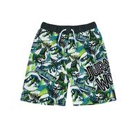 Jurassic World Swim Shorts t Rex Dinosaur 6-7 años
