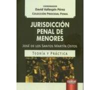 jurisdiccion penal de menores