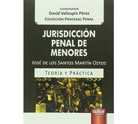 Jurisdicción penal de menores. Teoría y práctica