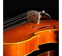 Juroupi 5 Piezas de Puente de Violín de Madera de Arce Premium Accesorio de Violín para Estudiantes de Instrumentos (Juego de cinco teclados para violín 1/4)