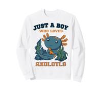 Just A Boy Who Loves Axolotls Lindo Dinosaurio salamandra Azul Sudadera