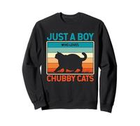 Just A Boy Who Loves Gatos Gorditos Retro Sunset Sudadera