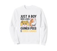 Just A Boy Who Loves Guinea Pigs and Video Games Sudadera