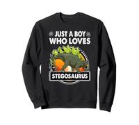 Just A Boy Who Loves Stegosaurus Funny Dinosaur Prehistoric Sudadera