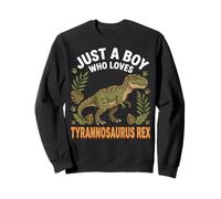 Just A Boy Who Loves Tyrannosaurus Rex Sudadera