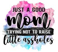 Just A Good Mom Trying to Not Raise Little Assholes, gran idea de regalo, calcomanías adhesivas, paquete de 2 pegatinas de 5 pulgadas | S10271