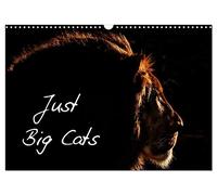 Just Big Cats (Wall Calendar 2026 DIN A3 landscape), CALVENDO 12 Month Wall Calendar: Magnificent Felines from Around the World