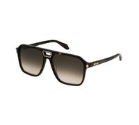 Just cavalli sunglasses sjc036 shiny dark havana 59/16/145 hombre