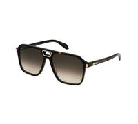 Just Cavalli Sunglasses SJC036 SHINY DARK HAVANA 59/16/145 Hombre