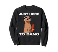 Just Here to Bang Fireworks Artificial pirotécnico 4th of July Sudadera
