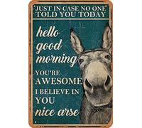 Just In Case No One Told You Today Nice Arse Póster de metal retro decorativo para el hogar, letrero vintage de hojalata de 30,5 x 20,3 cm