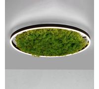 JUST LIGHT. GmbH Lámpara LED de techo Green Ritus, musgo atenuable Ø58,5cm
