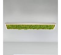 JUST LIGHT. GmbH Plafón LED «Gerda Knut» con musgo natural