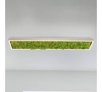 JUST LIGHT. Plafón LED Green Knut con musgo auténtico