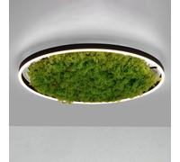 JUST LIGHT. Lámpara LED de techo Green Ritus, musgo atenuable Ø58,5cm