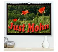 Just Mohn (hochwertiger Premium Wandkalender 2026 DIN A2 quer), Kunstdruck in Hochglanz: Der Klatschmohn (Papaver rhoeas), auch Klatschrose, Wilder ... oft schon nach einem Tag wieder verblüht.