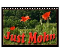 Just Mohn (Tischkalender 2026 DIN A5 quer), CALVENDO Monatskalender: Der Klatschmohn (Papaver rhoeas), auch Klatschrose, Wilder Mohn, Feuermohn oder ... oft schon nach einem Tag wieder verblüht.