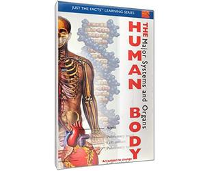 Just the Facts: The Human Body - Major Systems [Reino Unido] [DVD]