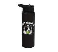 Just Throw It - Border Collie Sheepdog Dog Dad Dog Mom Stainless Steel Insulated Water Bottle