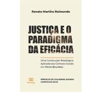 Justiça E O Paradigma Da Eficácia (ebook)